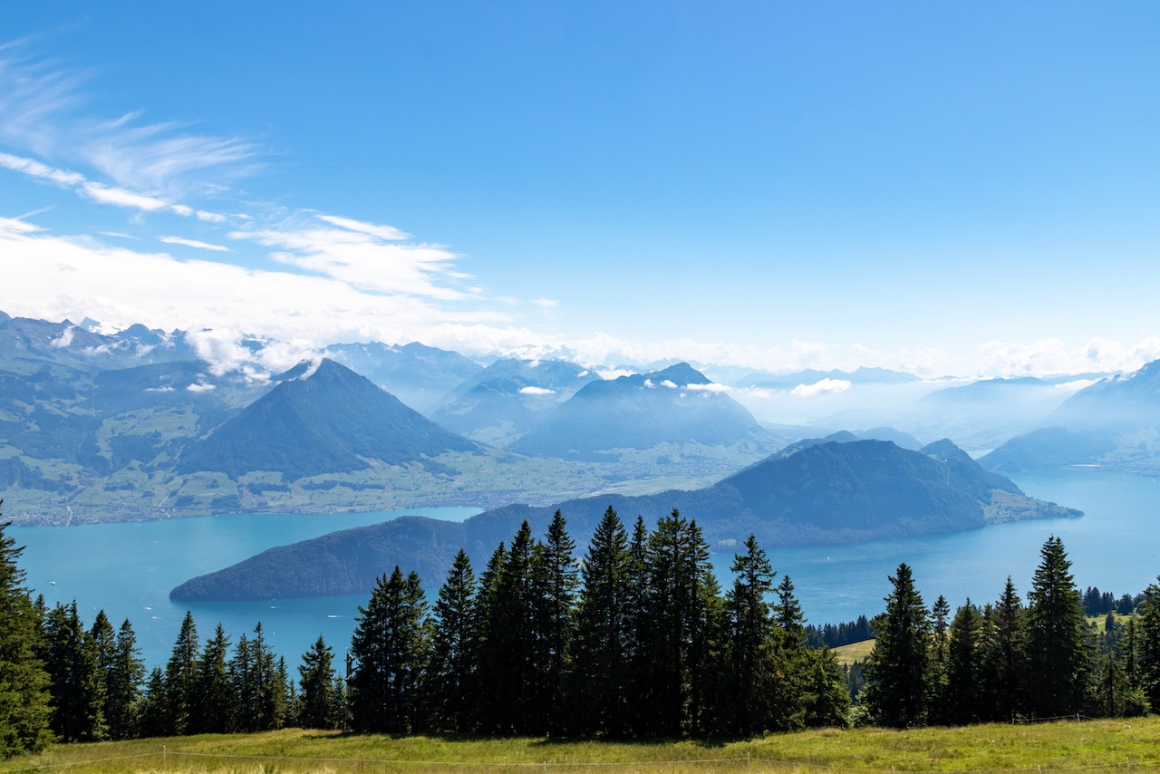 Rigi Scheidegg - Kulm - Scheidegg